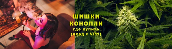 хмурый Арсеньев