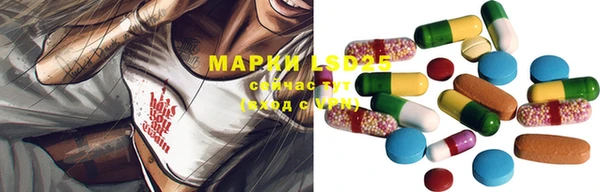 хмурый Арсеньев