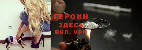 хмурый Арсеньев