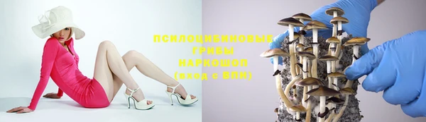 spice Баксан