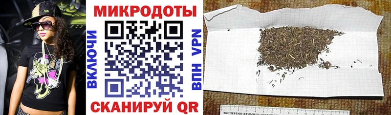 Галлюциногенные грибы Psilocybine cubensis Ейск
